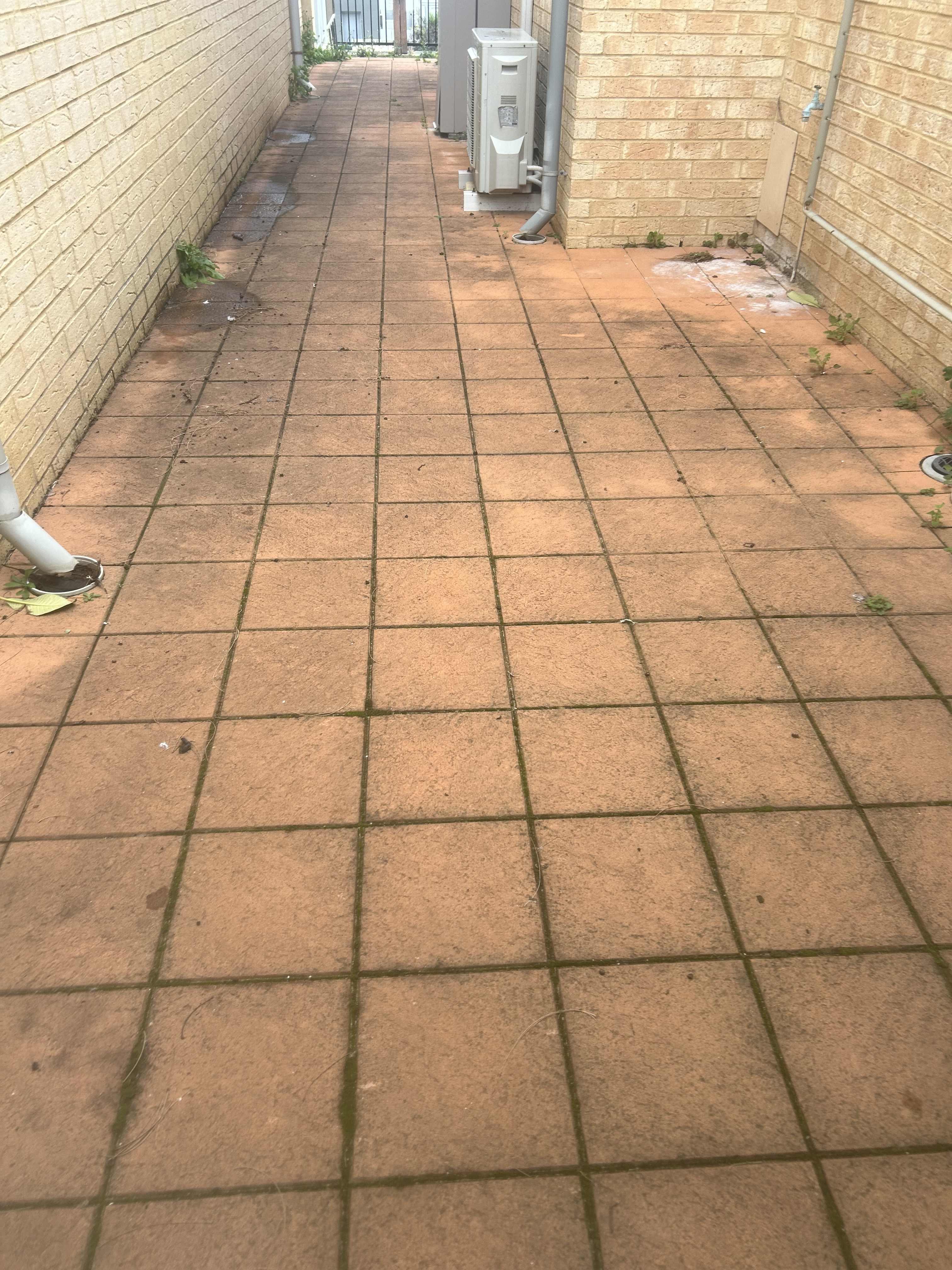 Before cleaning - inspection phase